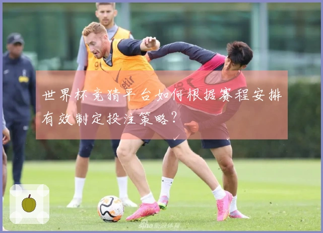 世界杯竞猜平台如何根据赛程安排有效制定投注策略？