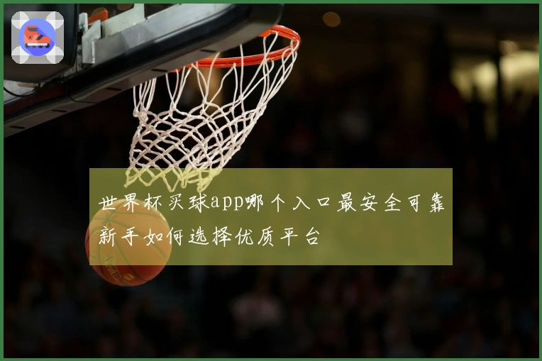 世界杯买球app哪个入口最安全可靠新手如何选择优质平台