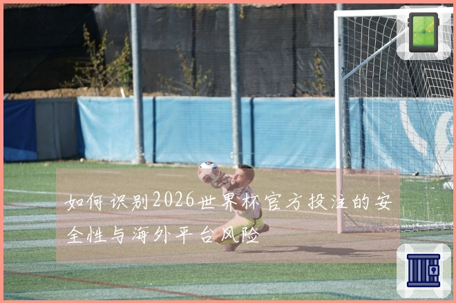 如何识别2026世界杯官方投注的安全性与海外平台风险