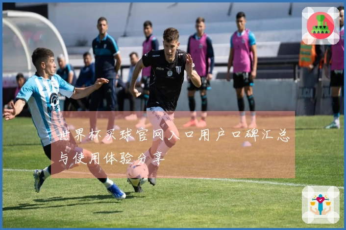 世界杯买球官网入口用户口碑汇总与使用体验分享