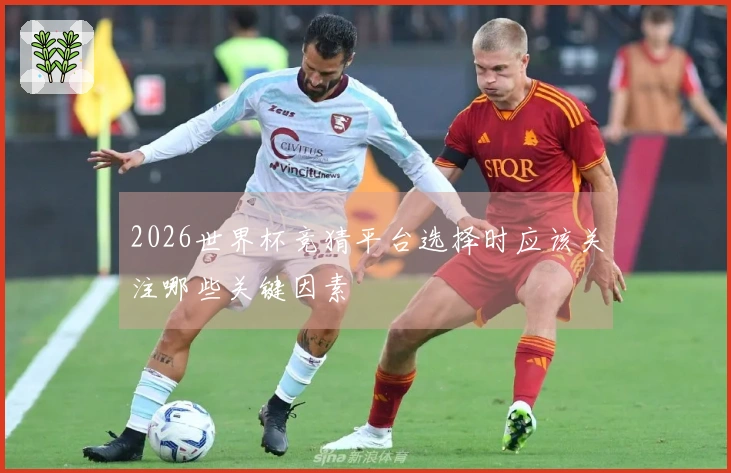 2026世界杯竞猜平台选择时应该关注哪些关键因素