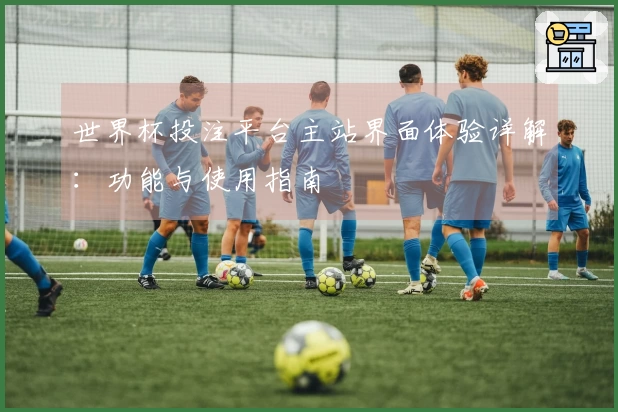 世界杯投注平台主站界面体验详解：功能与使用指南