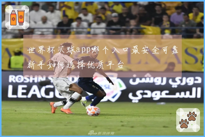 世界杯买球app哪个入口最安全可靠新手如何选择优质平台
